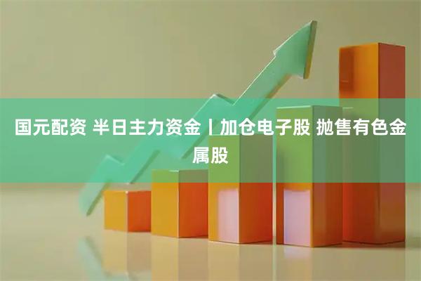 国元配资 半日主力资金丨加仓电子股 抛售有色金属股