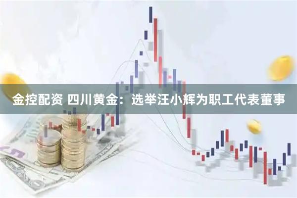 金控配资 四川黄金：选举汪小辉为职工代表董事